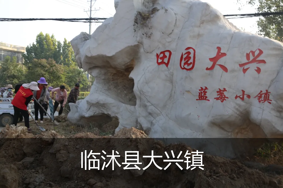临沭县大兴镇