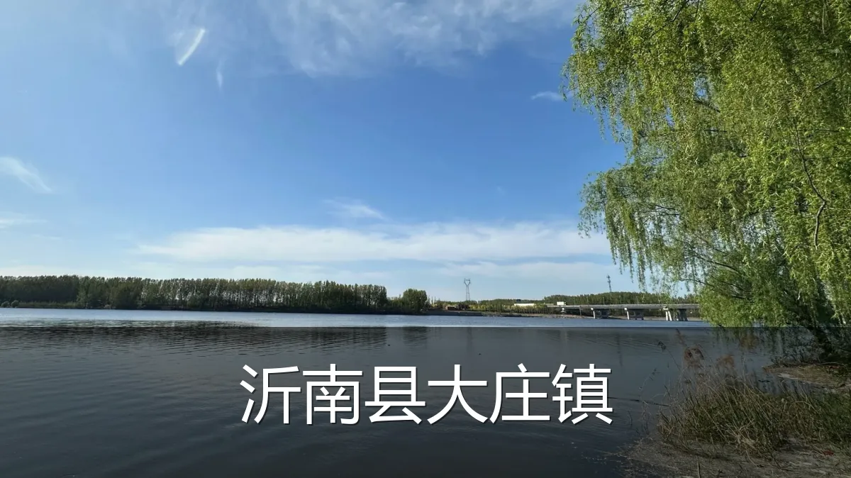 沂南县大庄镇