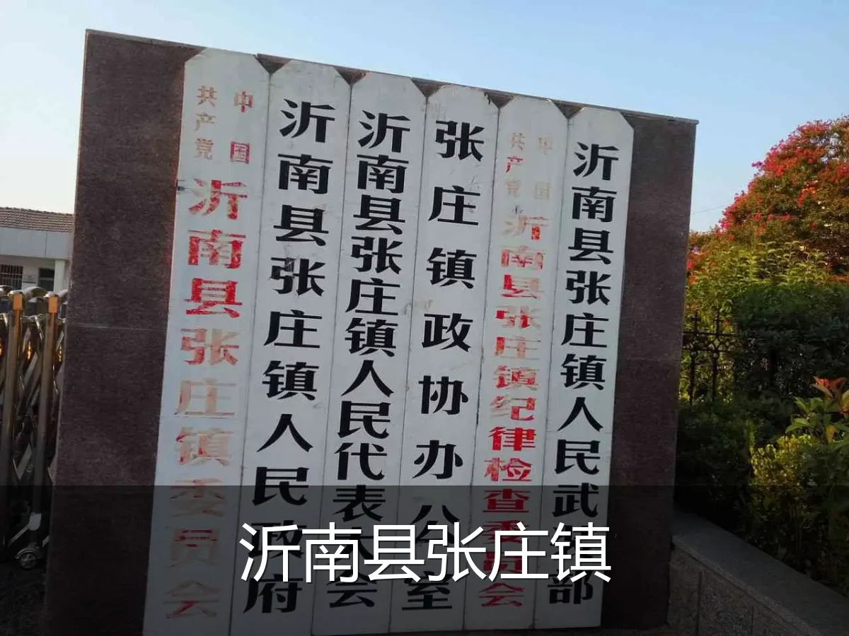 沂南县张庄镇
