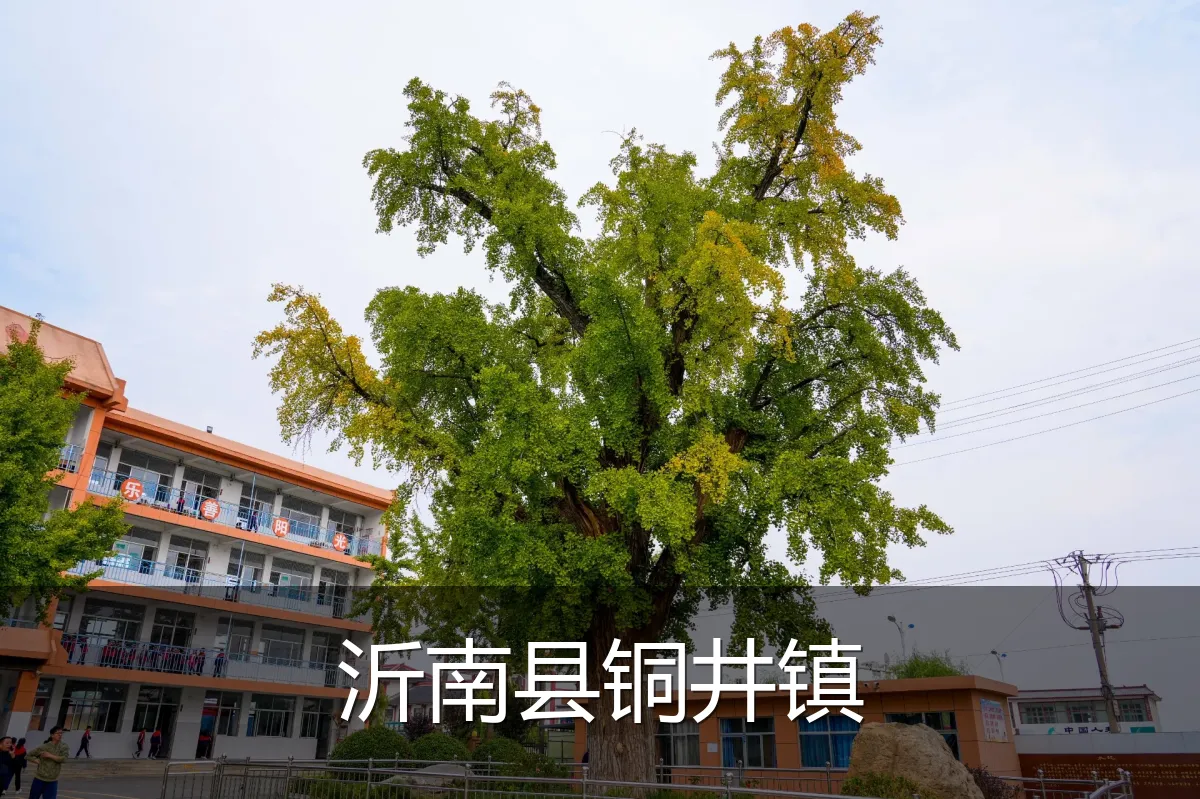 沂南县铜井镇