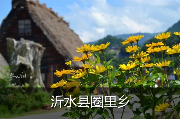 沂水县圈里乡
