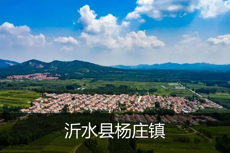 沂水县杨庄镇