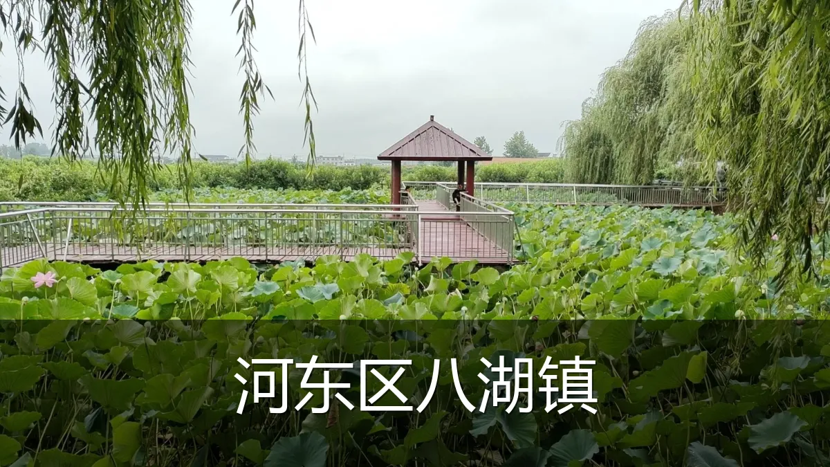 河东区八湖镇