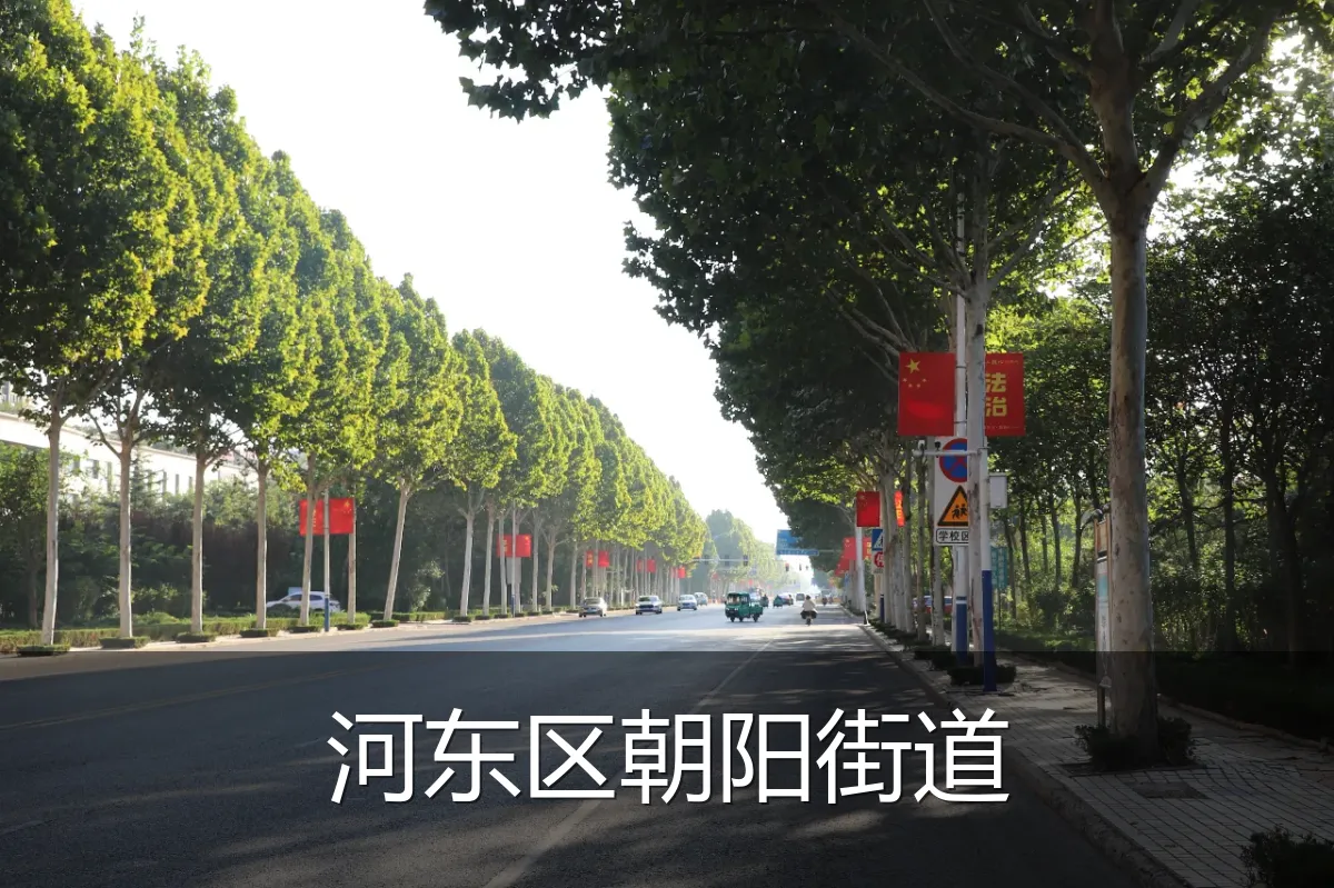 河东区朝阳街道