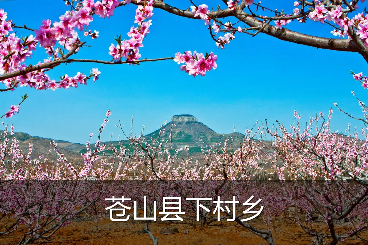 苍山县下村乡