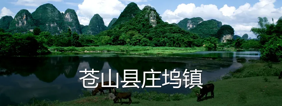 苍山县庄坞镇