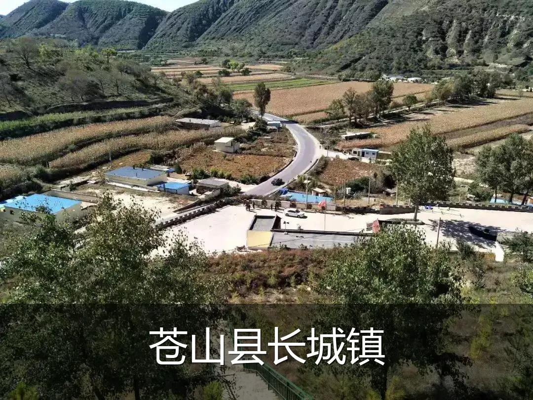 苍山县长城镇