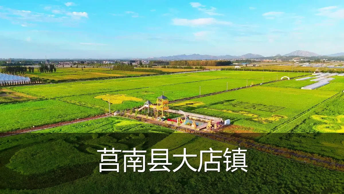 莒南县大店镇