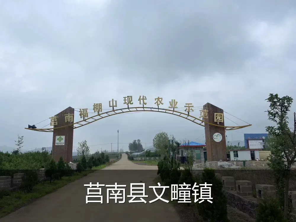 莒南县文疃镇