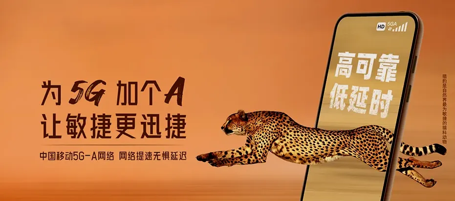 临沂苍山县庄坞镇 移动宽带